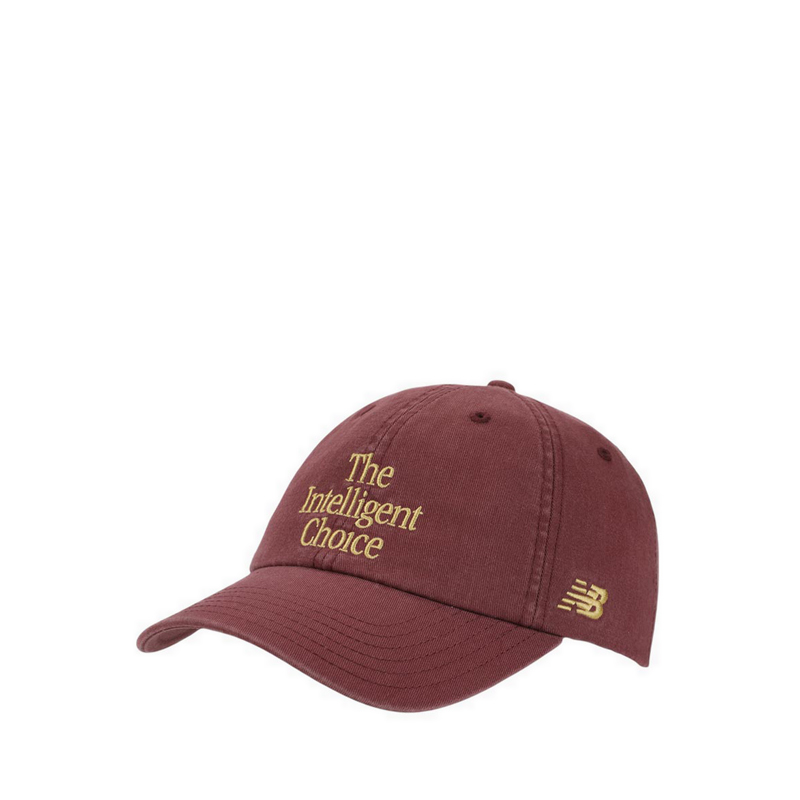6 Panel The Intelligent Choice Unisex Hat - Burgundy