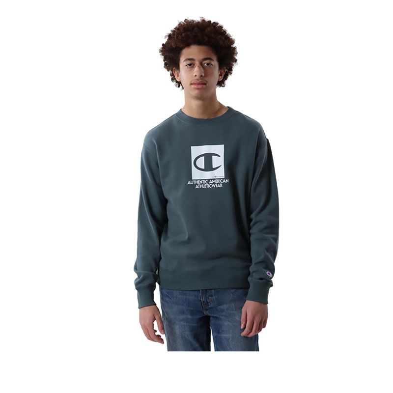 Crew Neck Sweatshirt Men's Sweatshirt - Green
