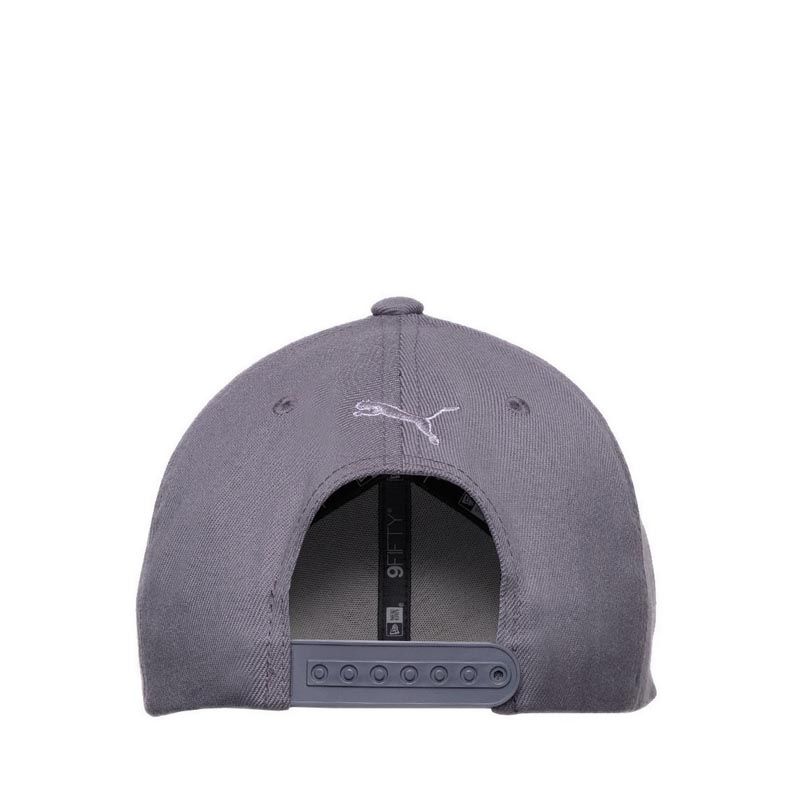 P Lux 110 Men's Cap - Grey