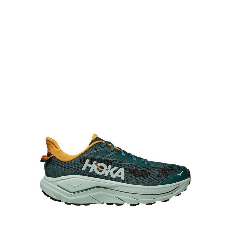 Challenger 8 Men's Running - Bay Leaf/Sage